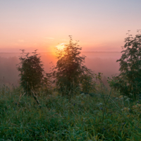 Звенящая тишина