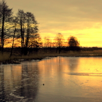 На рассвете...