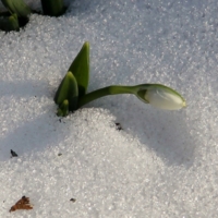 просто март