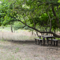 Я его слепила из того, что было...