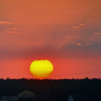 На привязи...