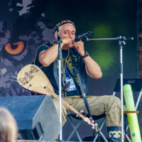 Народный музыкант