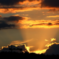 в лучах прожектора