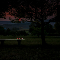 пейзаж с натюрмортом