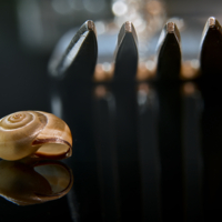 После Ужина.