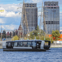 ,,Синичка " - не птичка...