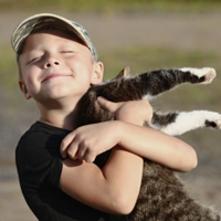 теперь и у меня есть кошка