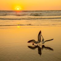 Оранжевое настроение