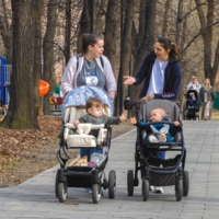 "Предлагаю дружить домами"...