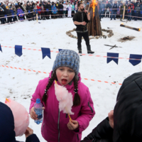 Без названия