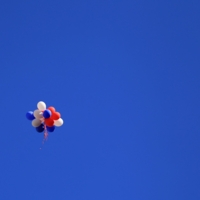 Триколор на синем