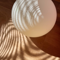 Метаморфозы