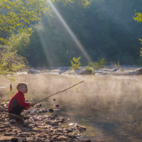 На ловца и луч бежит