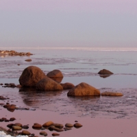 Розовый вечер