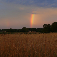 За околицей