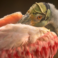 Кому как,а мне Мягко...