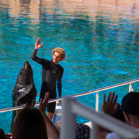 Работа с удовольствием