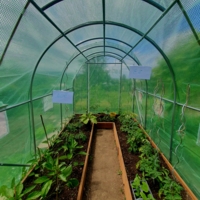 Ё-моё! У вас в деревне всё своё!