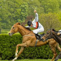 вся Ваша жизнь жестокая игра