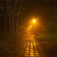 Прогулки в ночном парке с лёгким туманом...