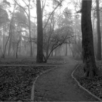 В парке туман...