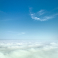 Утренний сон ...