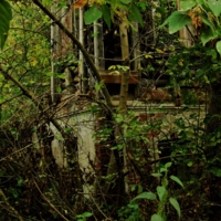 И быльем поросло