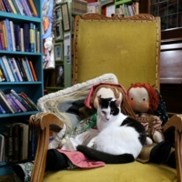 Мягко лежу,колко гляжу