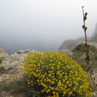 Туман в горах Майорки