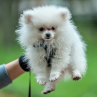 Мягкость на высоте!