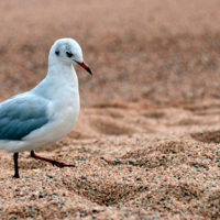 Вот и ножки проваливаются