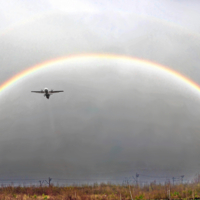 Пролетая под радугой ))