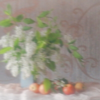 Мягкий фокус