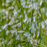 Игра в догонялки.