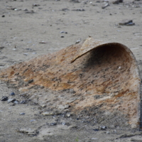 время разберется со всем