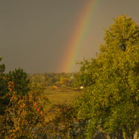 Идем искать золото?