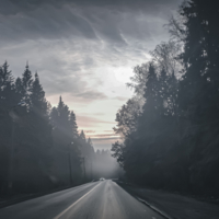 Сквозь туман