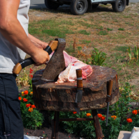 Бойкая торговля