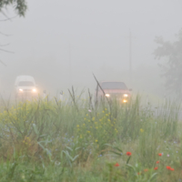 Свет во мгле