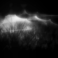 Паутинка Фудзи ..