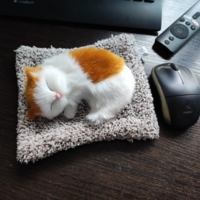 Как настоящая кошечка