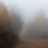 В осенней мгле