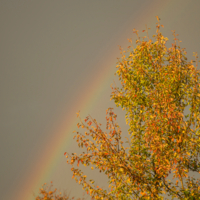 в красках осени