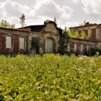 Соразмерно времени