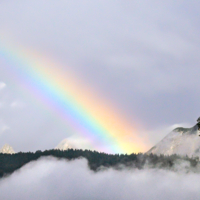 Горный сюрприз