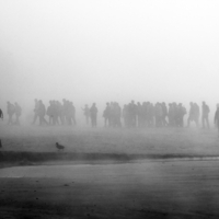 в любую погоду