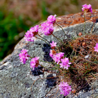 А ведь смогли!