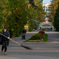 Студентка за работой )