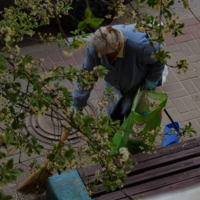 Отцвели вишни...