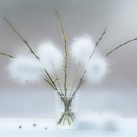 В ожидании весны